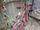 Cycle for sell