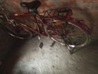 Bicycle for sell