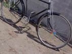 Bicycle for sell