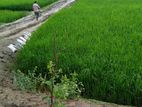 Land For Sell
