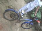 Cycle for sell