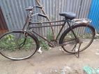 Bicycle for sell