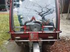 Auto Rickshaw