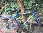 Duranta Bicycle for sale