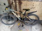 Phoenix Bicycle For Sale