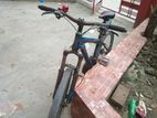Duranta Bicycle for sell