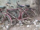 Bicycle for sell.