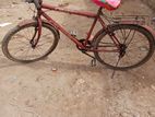 Bicycle for sale