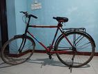 Bicycle for sell