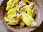 টেম সাইজ বাজরিগার বেবি