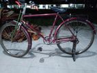 Bicycle for sell