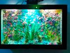 Tv Aquarium