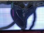 Tv for sell ( the display is broken)