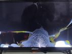 Tv Minister