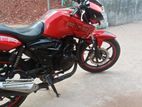 TVS Apache RTR 2024