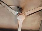 Tv's Fan for sell