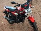 TVS Phoenix . 2013