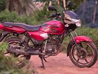 TVS Phoenix 2015