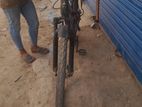 Bicycle for sell