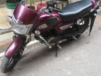 TVS Radeon 110 cc 2019