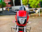 TVS Radeon 110 ` 2019