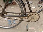 Bicycle For sell