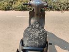 TVS Wego 110 2023