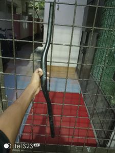 Bicycle Handlebar for Sale