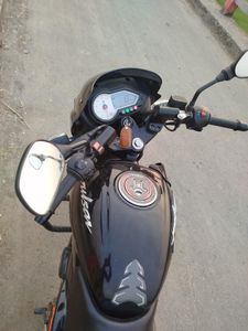 Bajaj Pulsar 150 . 2019 for Sale