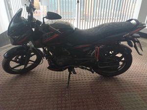 Bajaj Pulsar 150 2019 for Sale