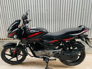 Bajaj Pulsar 150 2019 for Sale
