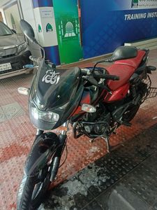 Bajaj Pulsar 150 2019 for Sale