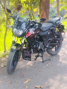 Bajaj Pulsar 150 ` 2019 for Sale