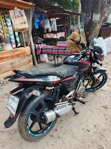 Bajaj Pulsar 150 2019 for Sale