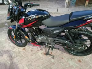 Bajaj Pulsar 150 2021 for Sale