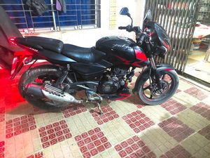 Bajaj Pulsar 150 DD 2019 for Sale