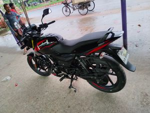Bajaj Pulsar 150 কুষ্টিয়া নাম্বার 2023 for Sale