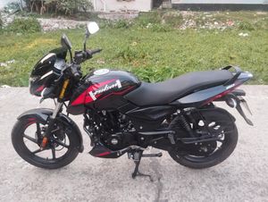 Bajaj Pulsar 150 কুষ্টিয়া নাম্বার 2023 for Sale