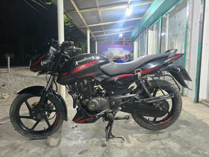 Bajaj Pulsar 150 sd 2010 for Sale