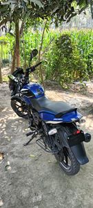 Bajaj Pulsar 150 Single disc 2023 for Sale