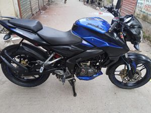 Bajaj Pulsar 2019 2020 for Sale