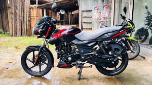 Bajaj Pulsar 2024 for Sale