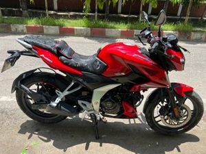 Bajaj Pulsar 250 2024 for Sale