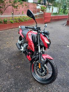 Bajaj Pulsar N250 2024 for Sale