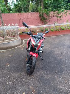 Bajaj Pulsar 250 N250 2024 for Sale
