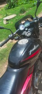 Bajaj Pulsar disk single 2017 for Sale