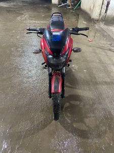 Bajaj Pulsar এক দাম 2016 for Sale