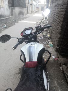 Benelli 2016 for Sale