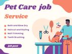 cat care and cleaner job
