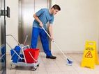 Cleaner, Care Taker Needed
